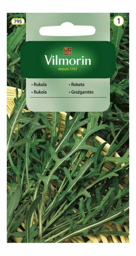 Vilmorin CLASSIC Rukola - pro celoroční pěstování 3 g